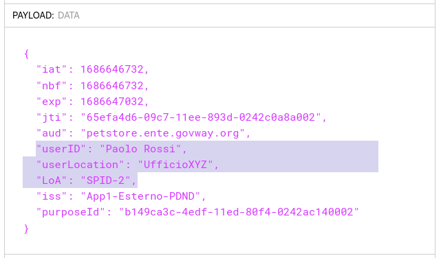 ../../../../_images/modipa_jwtio_payload_audit01.png